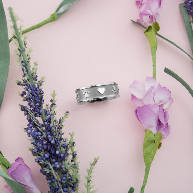 Brushed Stainless Steel Jewelry Collection
