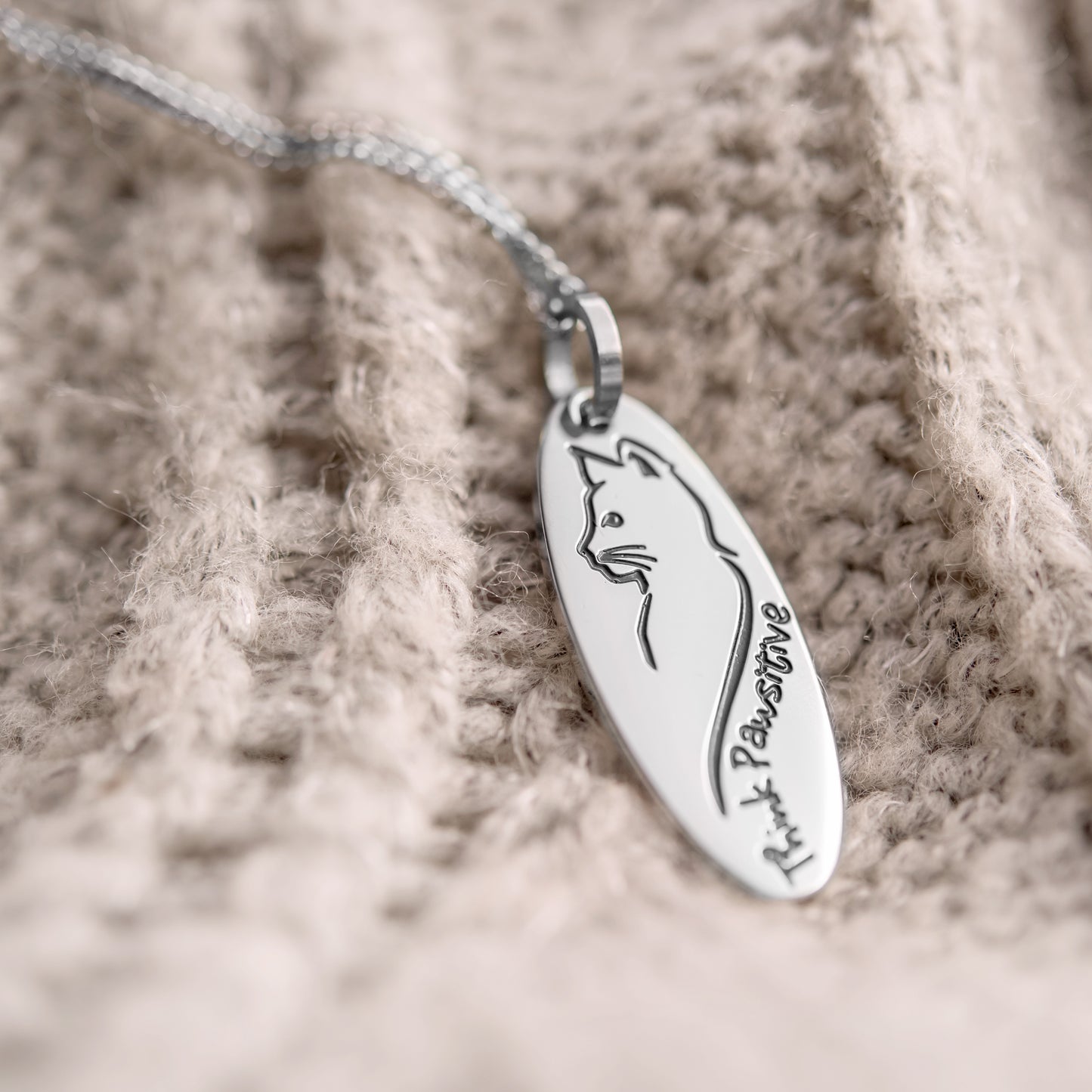 Think Pawsitive Stainless Steel Oval Cat Pendant Necklace - Inspirational Cat Lover Jewelry Gift